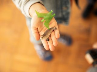 Casa do Brincar • Vila Real, 2024