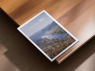 Liga dos Amigos do Douro Património Mundial, Newsletter  • 2026